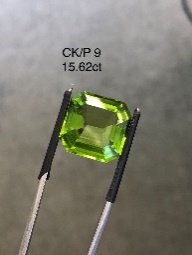 CK/P 9