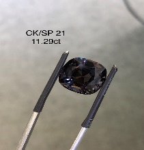 CK/SP 21