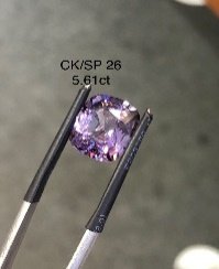 CK/SP 26
