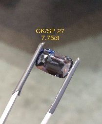 CK/SP 27