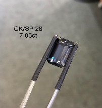 CK/SP 28