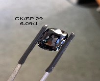 CK/SP 29