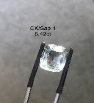 CK/Sap 1