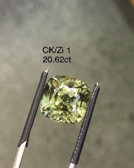 CK/Zi 1
