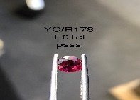 YC/R178
