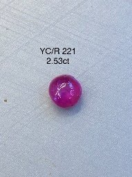YC/R 221