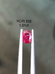 YC/R 232