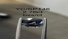 YC/SP146