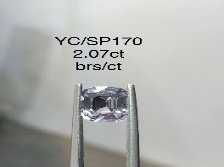 YC/SP170