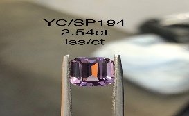 YC/SP194