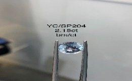 YC/SP204