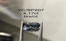 YC/SP207