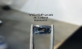 YC/SP208