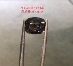YC/SP234