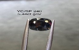 YC/SP240