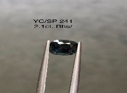 YC/SP241