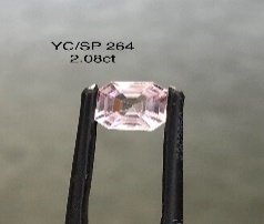 YC/SP264
