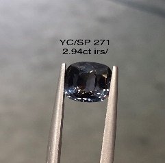 YC/SP271