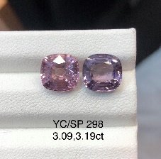 YC/SP298