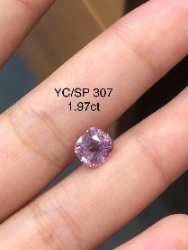YC/SP 307