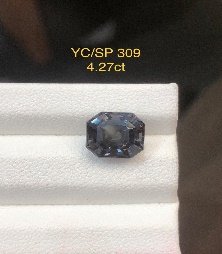 YC/SP 309
