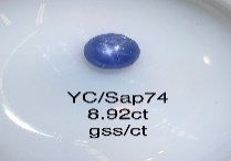 YC/Sap74