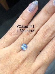 YC/Sap 111