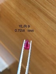 YL/R 9