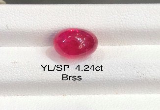YL/SP84